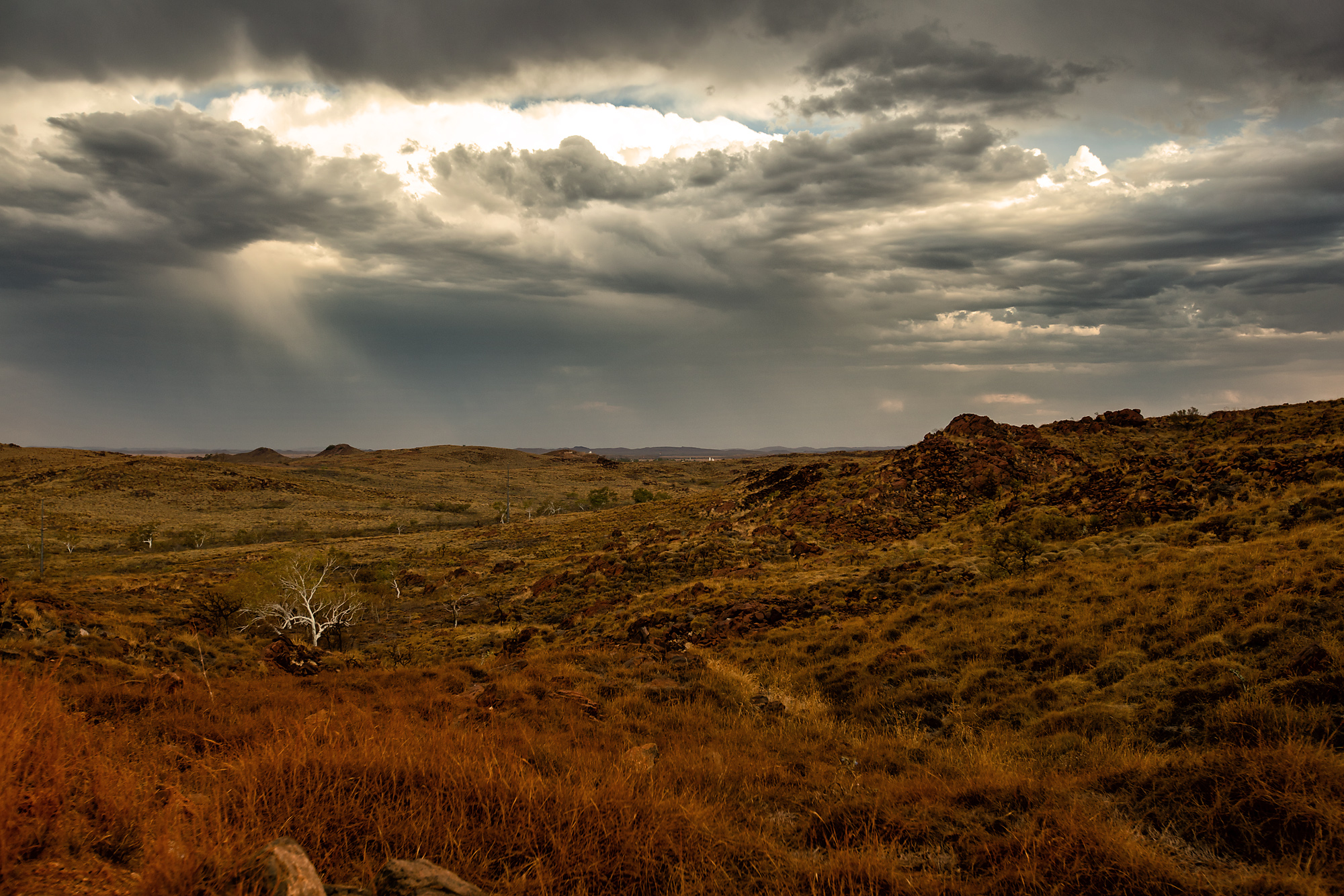 PWBN Conference Event